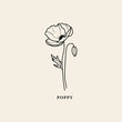 Line art poppy flower illustration