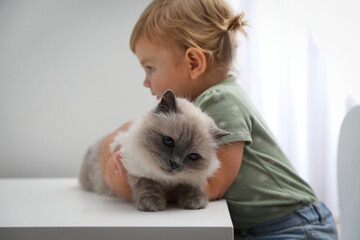 Wall Mural - Cute little child with adorable pet at white table in room