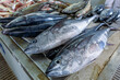 © Curioso.Photography - Traditional fish market in Mutrah, Oman. Several types of fish for sale, tuna and other fish.