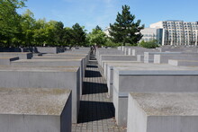 Bäume Im Denkmal Für Die Ermordeten Juden Europas