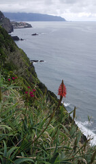 Canvas Print - scenic view at the coast of madeira