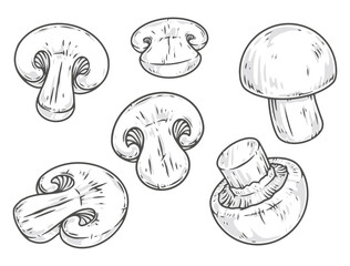 Sticker - Organic mushrooms monochrome set stickers