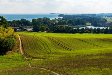 Canvas Print - Wiese und Weg zum Südstrand in Göhren