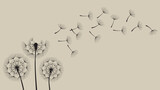 Fototapeta Dmuchawce - Silhouette of a dandelion with flying seeds. 