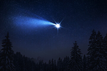 christmas night. the first star lit up in the winter forest with snow and the night starry sky. chri