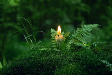 Wall Mural - burning candle on moss, dark green blurred natural background. magic candle for witch ritual in forest, mysterious fairy scene. 