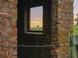 Canvas Print - View of a typical English rural landscape through window opening in remains of old brick farm building at sunrise