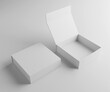 Blank White Product Packaging Box for Mockups Open and Closed - 3D Illustration