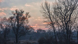 Fototapeta  - Zachód słońca w mroźny i mglisty listopadowy dzień na obrzeżach Krakowa