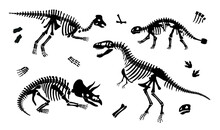 Dinosaurs Skeletons Black Set. Archeology And Paleontology, Animals BC. Collection Of Silhouettes, Graphic Elements For Website. Cartoon Flat Vector Illustrations Isolated On White Background