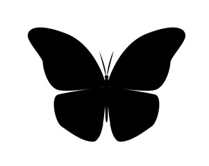 Wall Mural - butterfly silhouette icon. poster or banner for website, aesthetics and elegance. creativity and art