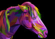 colorful horse on geometric pop art vector illustration