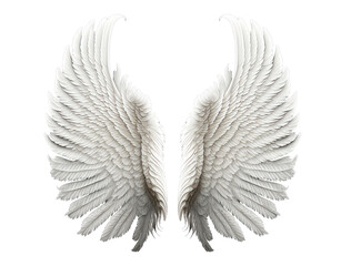 White angel wing