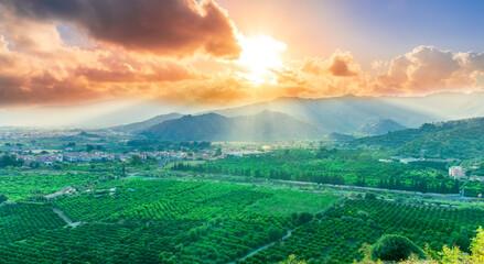 green beautiful valley with gardens and plantations and amazing mountains on background during sunset or sunrise