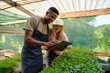 © StratfordProductions - Young multiracial couple wearing aprons smiling while using digital tablet in plant nursery