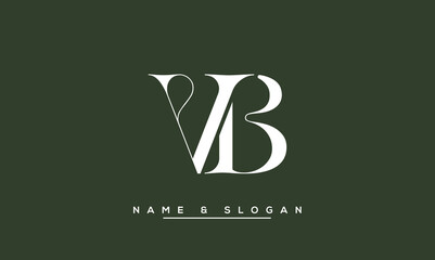 Poster - VB,  BV,  V,  B  Abstract  Letters  Logo  Monogram