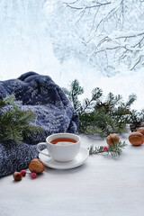 Wall Mural - Tea cup, nuts, sweater, fir branches and frosty window. sweater weather, cozy home, comfort, relaxing concept. festive winter season. Christmas, New Year holidays background