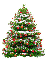 beautiful christmas tree decorated with red balls. snowy christmas tree wit red star isolated