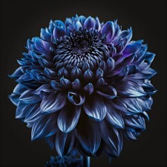 Fractal dark chrome purple dahlia flower isolated on black. generative ai