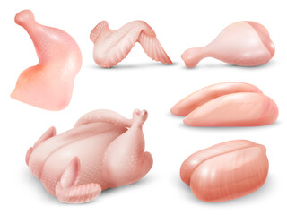 Poster - Realistic Chicken Set