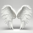 Angel wings in white