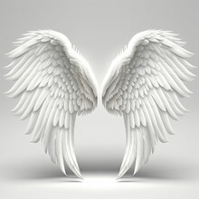 Angel Wings In White