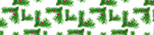 Panorama Pattern Of Green Yew Branches With Red Berries On A White Background.