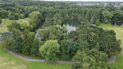 Canvas Print - Aerial view of green trees in a forest