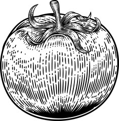 Sticker - Tomato Vintage Woodcut Illustration