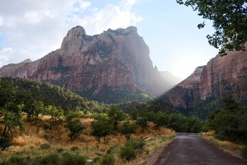 Sticker - A rocky mountain in Zion National Park in Utah, with green scenery on a sunny day