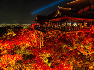 Wall Mural - dramatic view of red maple leaves at night in autumn, kiyomizu temple in kyoto in japan, travel or t