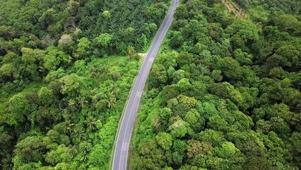 Poster - Aerial drone view of a narrow road going through Phuket jungle with transport, Thailand