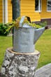 Vertical shot of a watering can on a tree stump in the garden