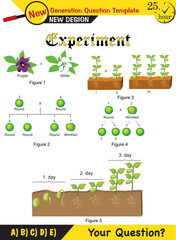 Biology, Heredity Combination, Mendelian genetics, heredity, Peas experiment, Genotype, Generation Inheritance, dominant, recessive gen, round, next generation question template, eps