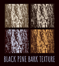 Illustration Of Black Pine Or Pinus Nigra Bark Texture In Various Color Schemes.
