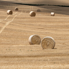 Wall Mural - hay bales in the field of Tuscany Italy