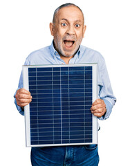 Poster - Senior man with grey hair and beard holding photovoltaic solar panel celebrating crazy and amazed for success with open eyes screaming excited.