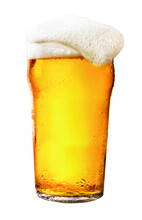 Glass Of Lager Beer With Frothy Foam Isolated On Transparent Background