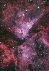 Wall Mural - The Eta Carina Nebula in the constellation Carina photographed with an astronomical telescope