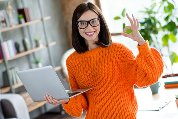 Poster - Portrait of positive lady hr assistant secretary recruiter okey symbol finished work task completed use modern netbook workplace indoor