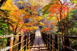 紅葉の花貫渓谷汐見滝吊橋