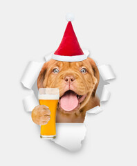 Happy puppy wearing sunglasses and red santa hat holding glass of beer and looking through the hole in white paper