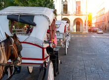 Mexico, Horse Carriages Waiting For Tourists Near Central Plaza Grande In Merida In Front Of Cathedral Of Merida, The Oldest Cathedral In Latin America