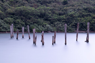 Upright wooden poles left to rot in the sea.  Long exposure gives silky smooth surface to the water.  Tree covered hillside in the background.
