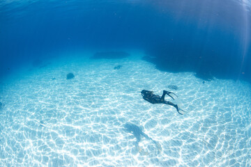 Wall Mural - snorkeling scuba diving in the great barrier reef on a sunny day with clear water ocean