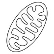 Mitochondria. Modern minimal black thin line vector icon isolated on transparent background. Line thickness editable