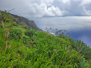 Wall Mural - cenic view over the coast of madeira