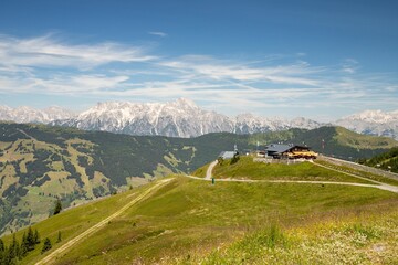 Poster - Beautiful scenery of a green forested hillside on the background of rocky mountains