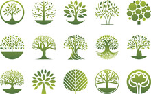 Vector Tree Logo - Set Of Abstract Organic Design Element Elements, Badges, Labels.