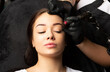 Gorgeous lady undergoing procedure of permanent brow makeup